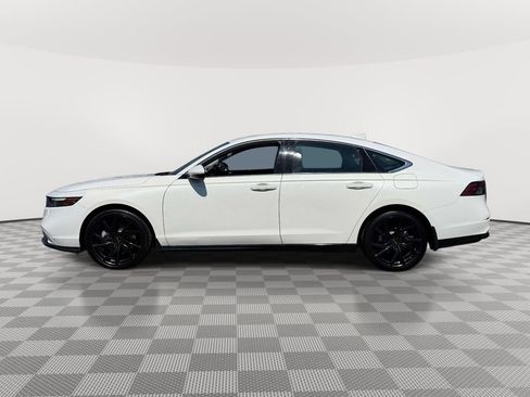 Used 2025 Honda Accord EX-L image 3