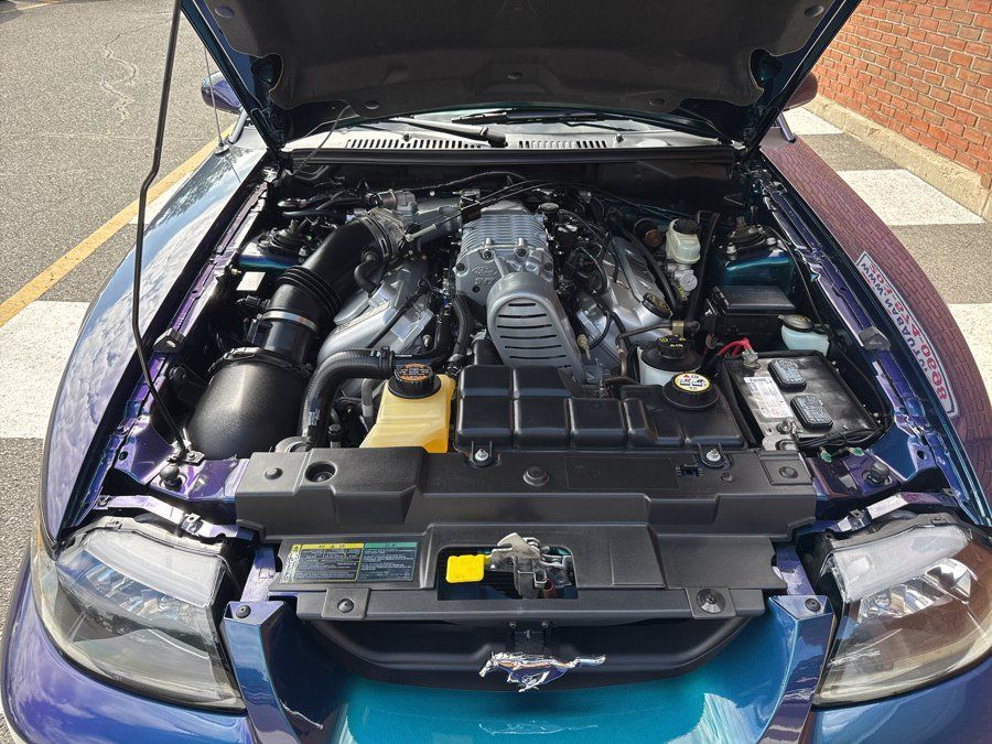 Used 2004 Ford Mustang Cobra RWD image 46