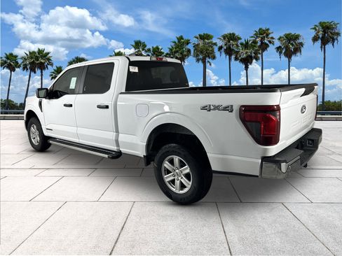New 2025 Ford F150 XL w/ Equipment Group 104A Hybrid image 7