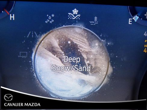 Used 2022 Ford F150 XLT w/ Equipment Group 302A High image 30