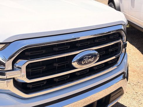 Used 2023 Ford F150 XLT w/ Equipment Group 302A High RWD image 4
