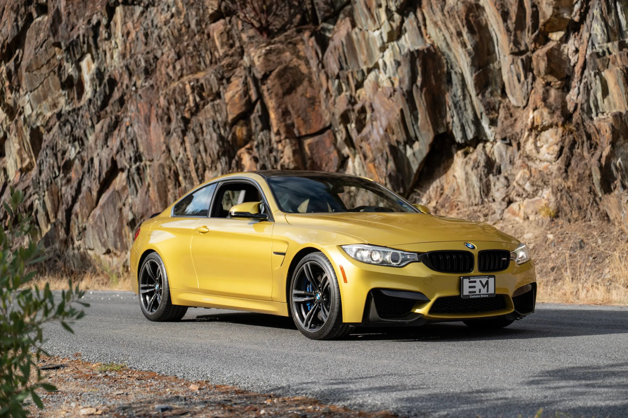 Used 2016 BMW M4 Coupe RWD image 15