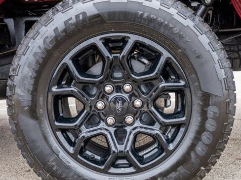 New 2025 Ford F150 XLT w/ Equipment Group 302A MID image 9