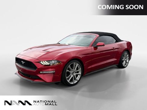 Used 2020 Ford Mustang Premium w/ Equipment Group 201A RWD image 1