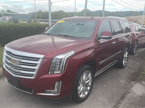 Used 2019 Cadillac Escalade Platinum AWD/4WD image 3