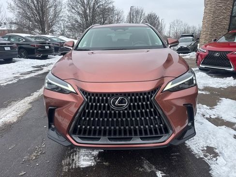 Certified 2025 Lexus NX 350 AWD w/ Cold Area Package image 8