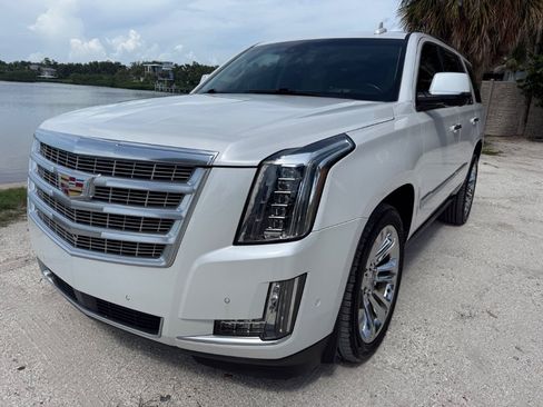 Used 2019 Cadillac Escalade Premium Luxury w/ LPO, Radiant Package AWD/4WD image 6