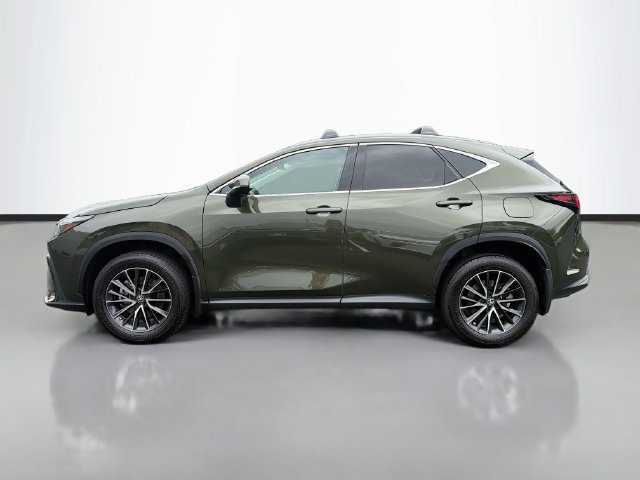 Used 2024 Lexus NX 250 AWD w/ Cold Area Package image 4