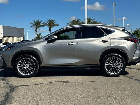 Used 2022 Lexus NX 350h AWD w/ Vision Package image 9
