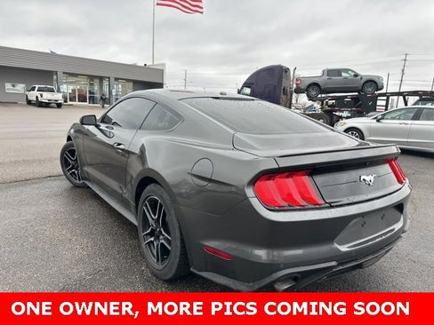 Used 2019 Ford Mustang Premium w/ Equipment Group 201A image 10