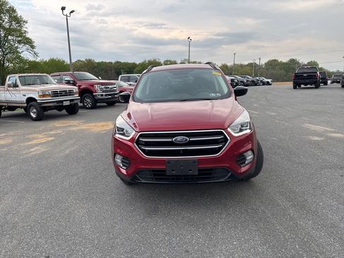 Used 2019 Ford Escape SE AWD/4WD image 2