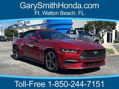 Used 2024 Ford Mustang Premium