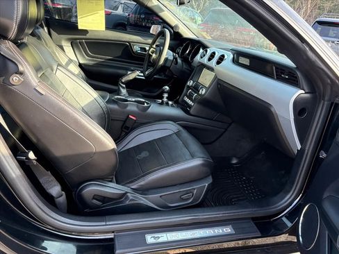 Used 2017 Ford Mustang GT Premium w/ Equipment Group 401A image 16