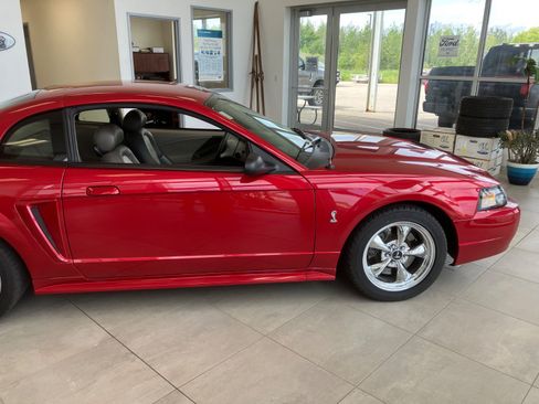 Used 2001 Ford Mustang Cobra RWD image 5