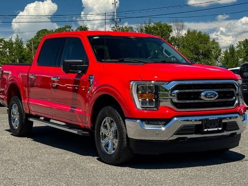 Used 2023 Ford F150 XLT w/ Equipment Group 302A High AWD/4WD image 1