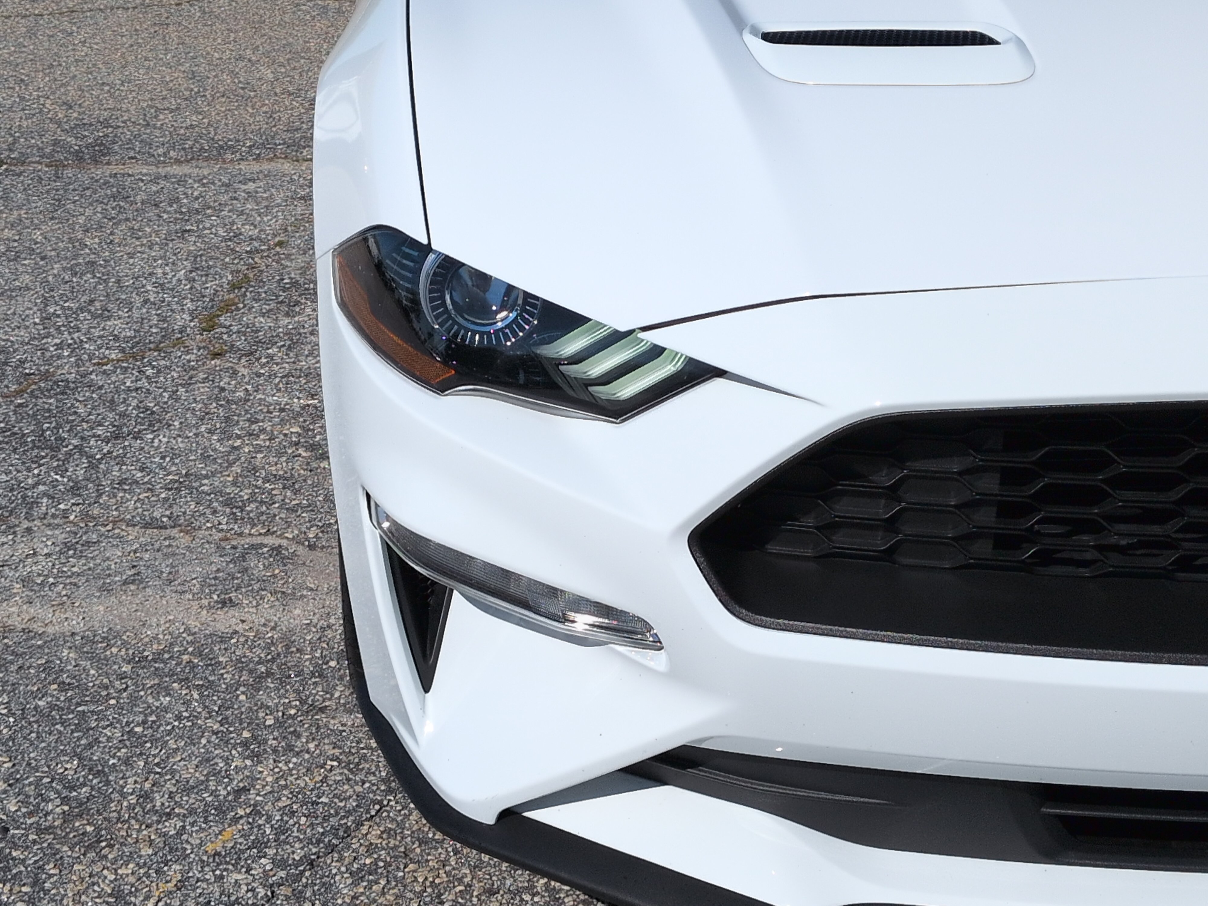 Used 2022 Ford Mustang Coupe w/ Equipment Group 101A RWD image 8