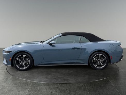 Used 2025 Ford Mustang Premium RWD image 5