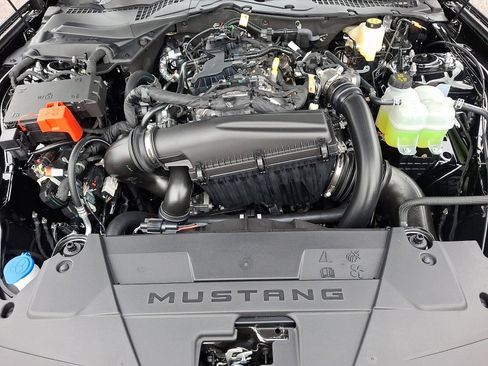 New 2026 Ford Mustang Coupe w/ Mustang Nite Pony Package image 41