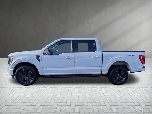 Used 2019 Ford F250 XL w/ STX Appearance Package image 6