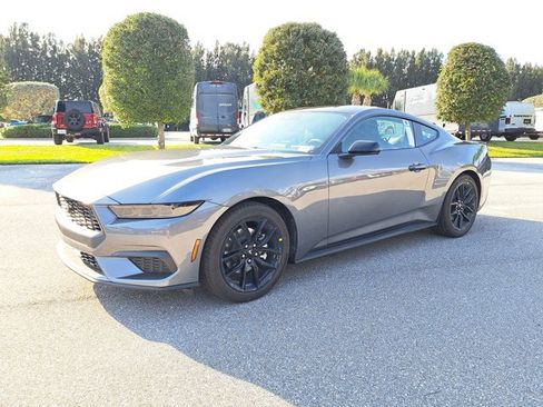 New 2026 Ford Mustang Coupe w/ Mustang Nite Pony Package RWD image 4