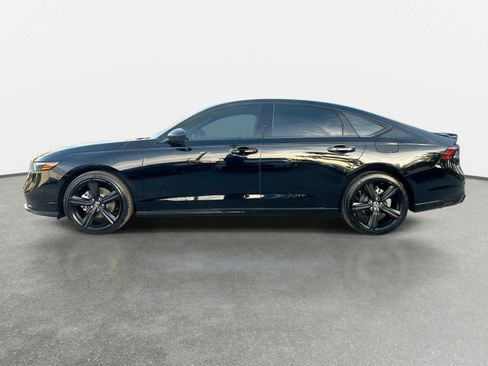 Used 2025 Honda Accord Sport image 4