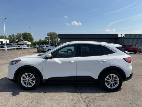 Used 2020 Ford Escape SE AWD/4WD image 5