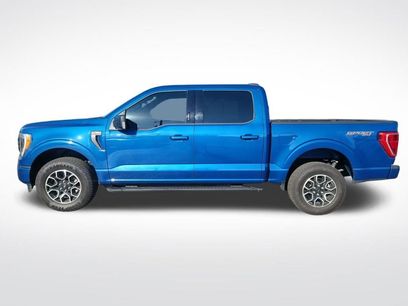 Used 2023 Ford F150 XLT w/ Equipment Group 302A High
