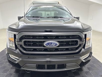 Used 2023 Ford F150 XLT w/ Equipment Group 302A High