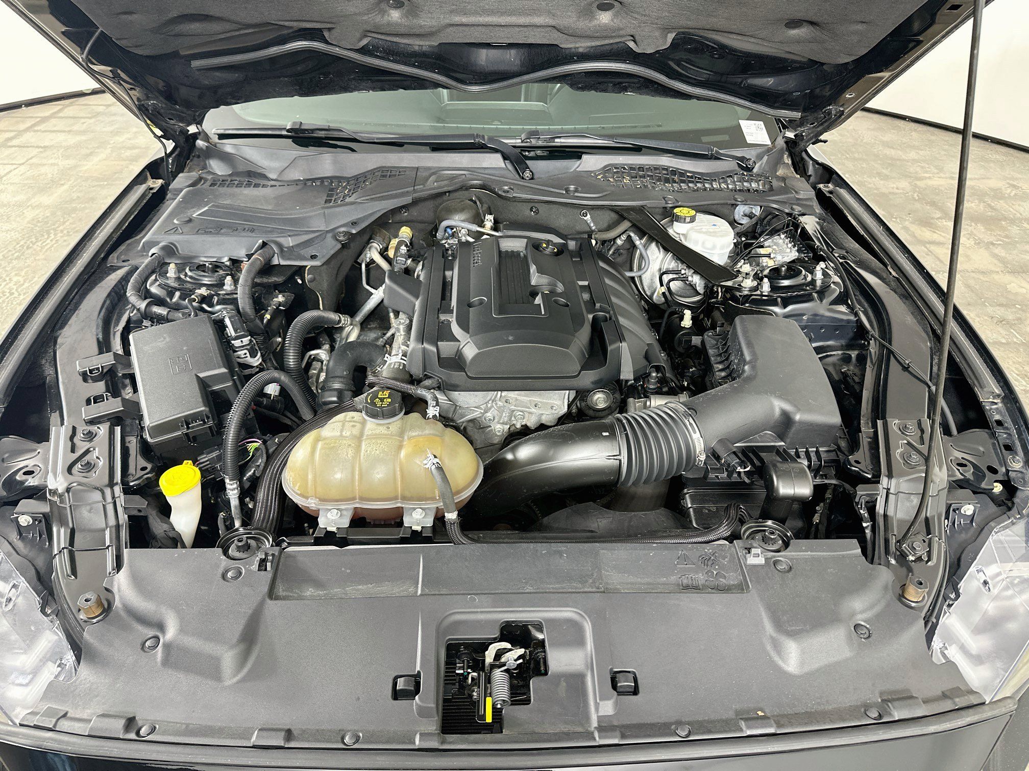 Used 2018 Ford Mustang Premium w/ Equipment Group 201A RWD image 30