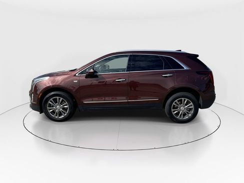 Used 2023 Cadillac XT5 Premium Luxury FWD image 5