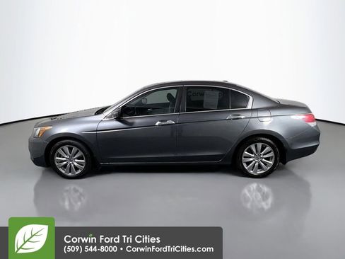 Used 2011 Honda Accord EX-L image 6