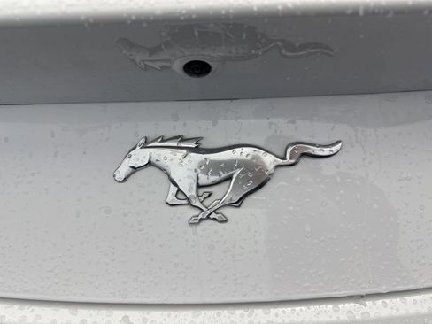 Used 2025 Ford Mustang Premium RWD image 32