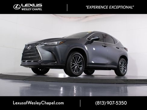 Certified 2026 Lexus NX 350 AWD w/ Cold Area Package image 8