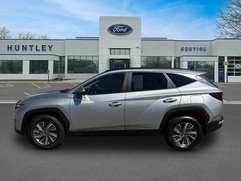 Used 2024 Hyundai Tucson Blue AWD/4WD image 7