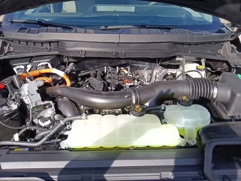 New 2026 Ford F150 Platinum w/ Equipment Group 703A Plus AWD/4WD image 37