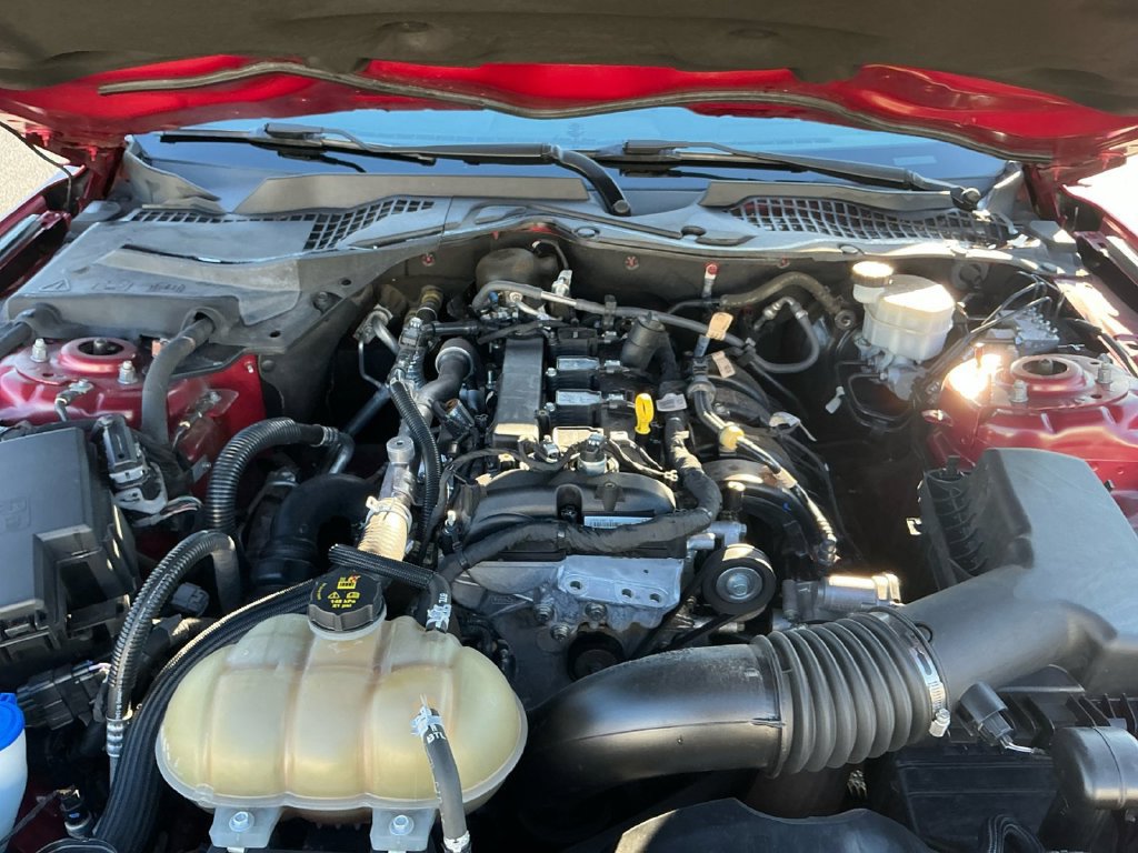 Used 2021 Ford Mustang Coupe w/ Equipment Group 101A RWD image 25
