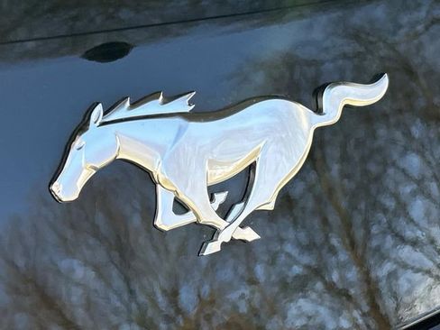 New 2026 Ford Mustang Coupe image 11