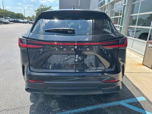 Used 2025 Lexus NX 350h AWD w/ Cold Area Package image 3