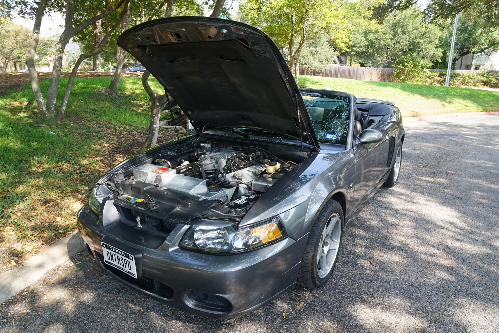 Used 2003 Ford Mustang Cobra RWD image 17