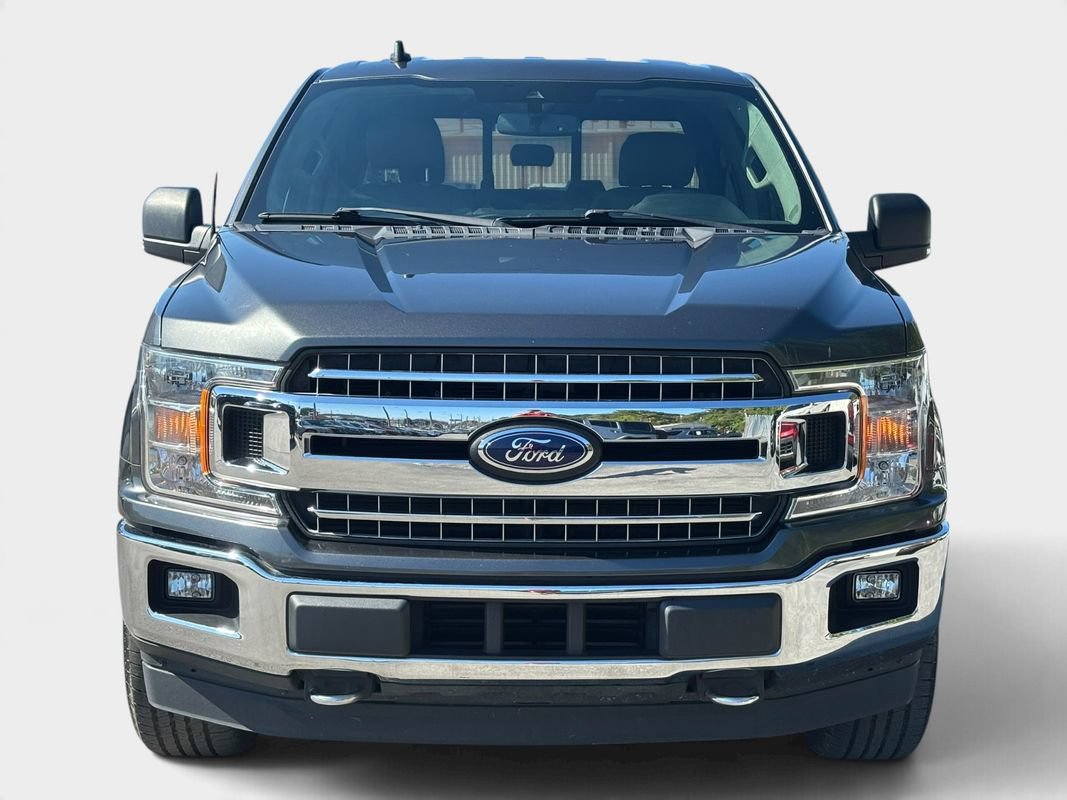 Used 2019 Ford F150 XLT w/ Equipment Group 302A Luxury AWD/4WD image 8