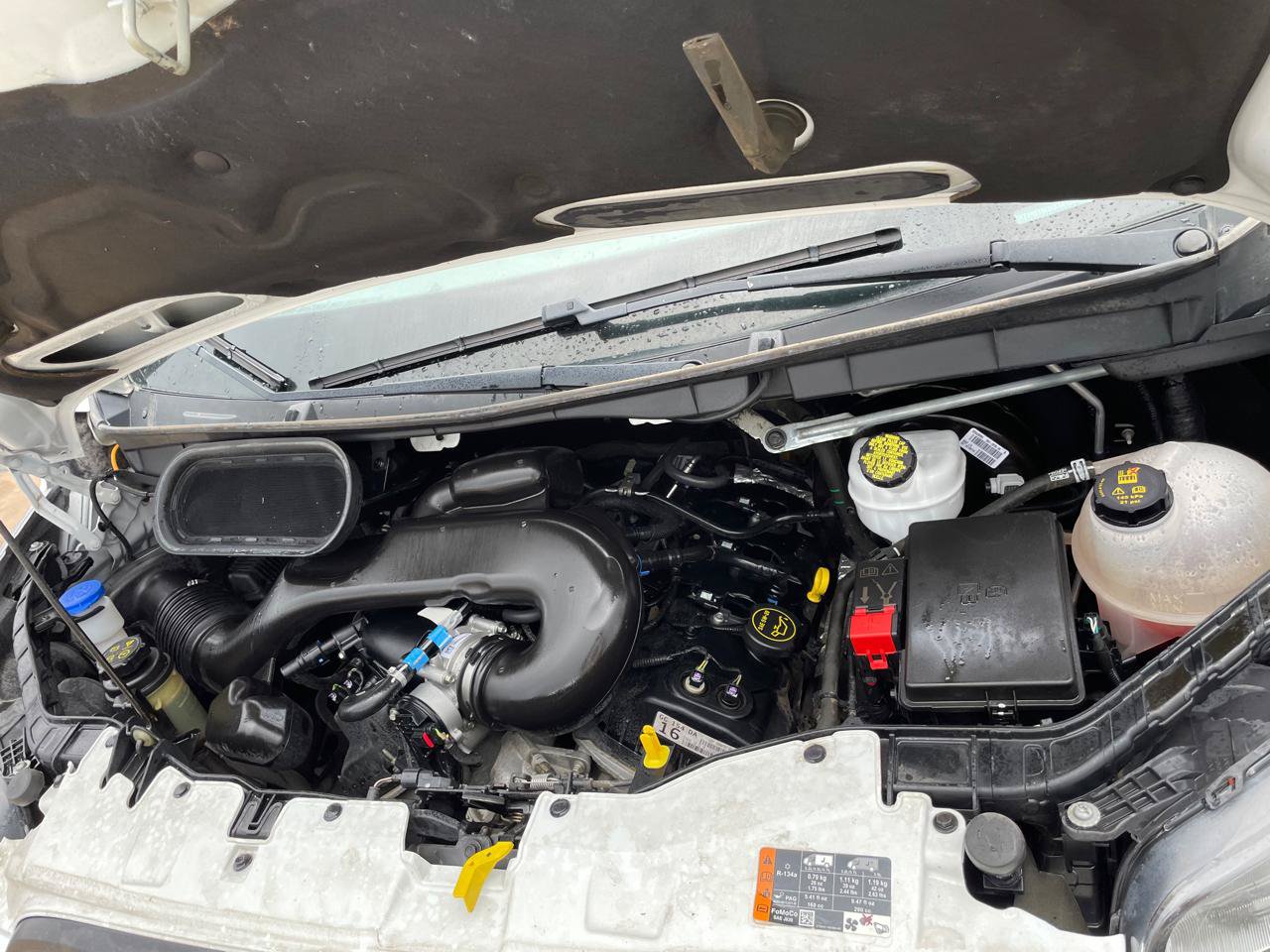 Used 2019 Ford Transit 250 148 Low Roof RWD image 14