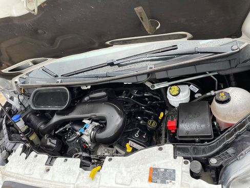 Used 2019 Ford Transit 250 148 Low Roof RWD image 14