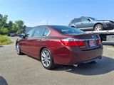 Used 2013 Honda Accord Sport image 4