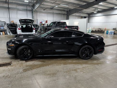 Used 2021 Ford Mustang GT Premium w/ Black Accent Package image 5
