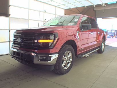 Used 2025 Ford F150 XLT w/ Equipment Group 301A Standard