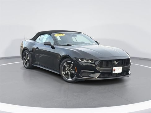 Used 2024 Ford Mustang Premium image 1