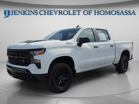 Used 2024 Chevrolet Silverado 1500 Custom Trail Boss AWD/4WD image 10
