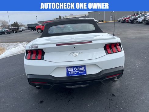 Used 2025 Ford Mustang Premium w/ Wheel & Stripe Package image 5