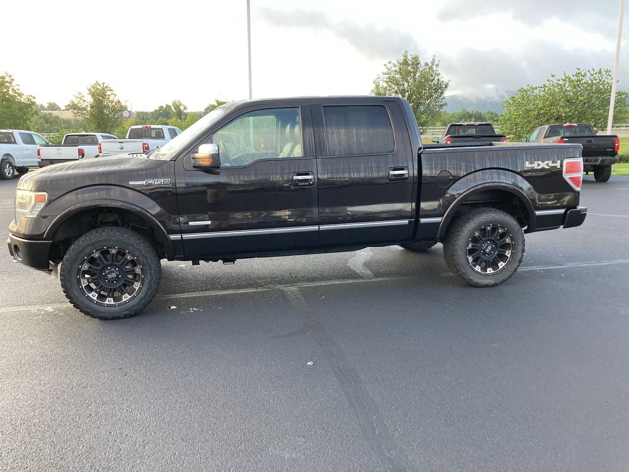 Used 2013 Ford F150 Platinum AWD/4WD image 4