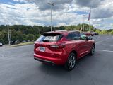 Certified 2023 Ford Escape ST-Line w/ Tech Pack #1 image 6